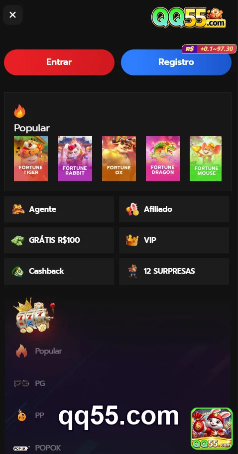 Benefícios do nosso suporte em português - qq55.com